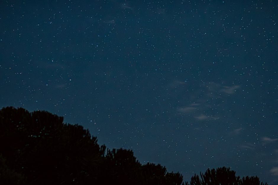 Stars above silhouetted treetops
