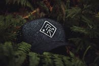 黑色棒球帽的特写，采用刺绣设计，置于绿色蕨类植物中，营造出自然主题的概念