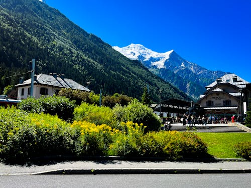 Foto d'estoc gratuïta de alps, Alps suïssos, montblanc