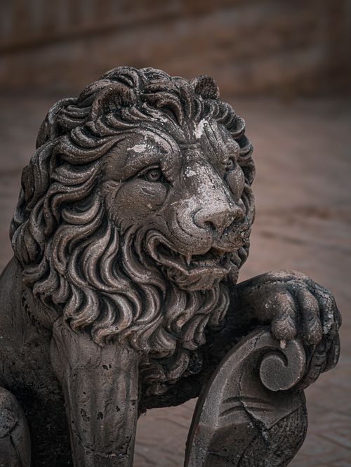 Free Detailed close-up of a historic stone lion statue showcasing intricate craftsmanship. Stock Photo