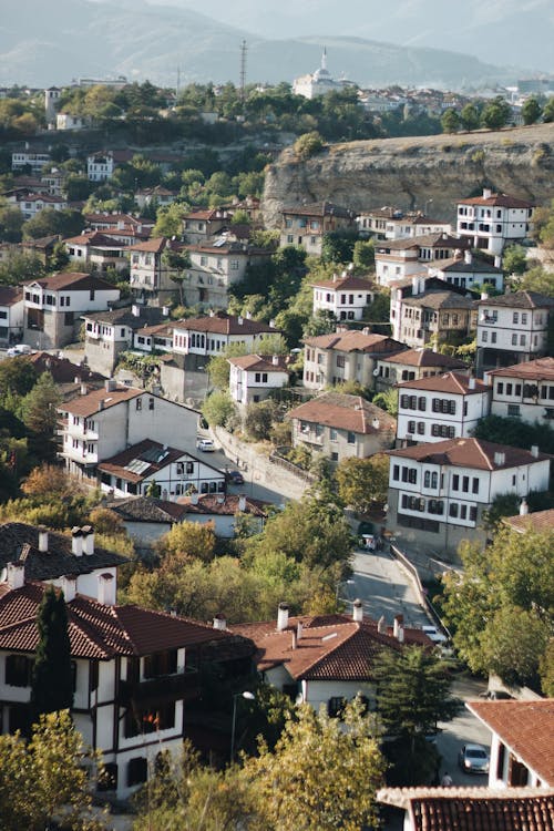 Houses in Town