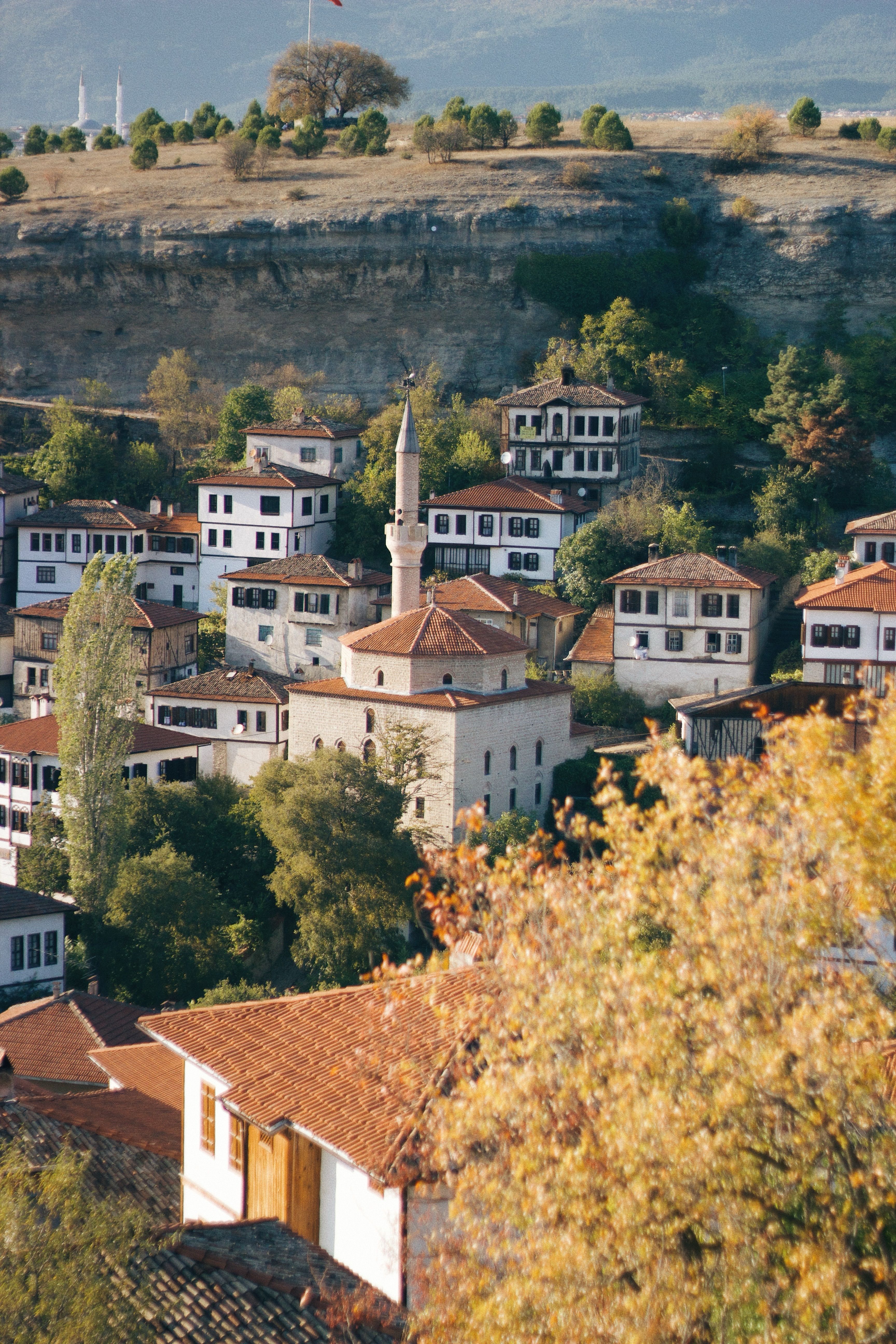 Explore a picturesque Turkish village featuring traditional architecture and a historic minaret amidst lush greenery.