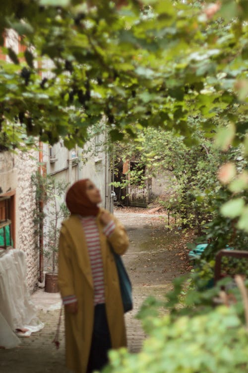 Lush Foliage Decorating Passage in Town