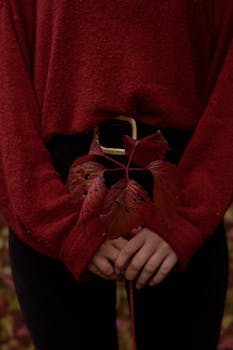 Fashion photo featuring a red sweater, leaf, and black pants in autumn theme.