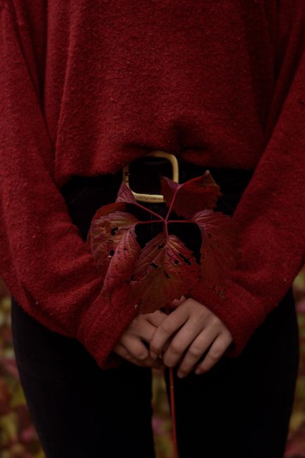 Suéter burdeos gordito y vaqueros negros, el look cómodo que combina con las hojas rojas 🍂
#lookdeldia #inspiracionmoda #burgundy #sweater