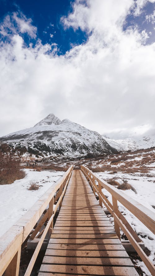 Wooden Footpath with Mountain behind