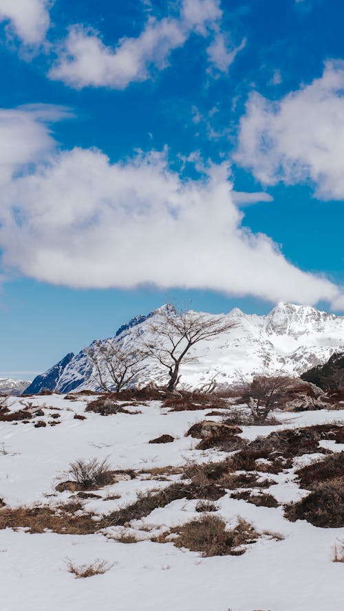 Mountains in Winter