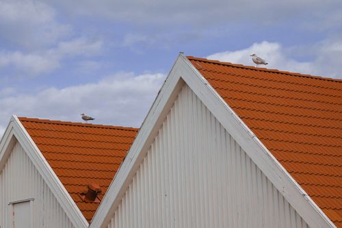 Free Two seagulls perched on vibrant orange rooftops in Varberg, Sweden. Stock Photo