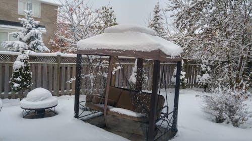Free stock photo of canadian winter, snow, snowy winter Stock Photo