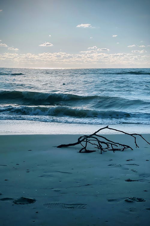 Foto profissional grátis de à beira-mar, alvorecer, aquático