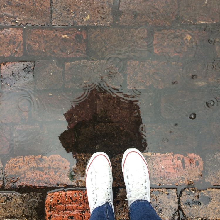 Free stock photo of brick, puddle, rain