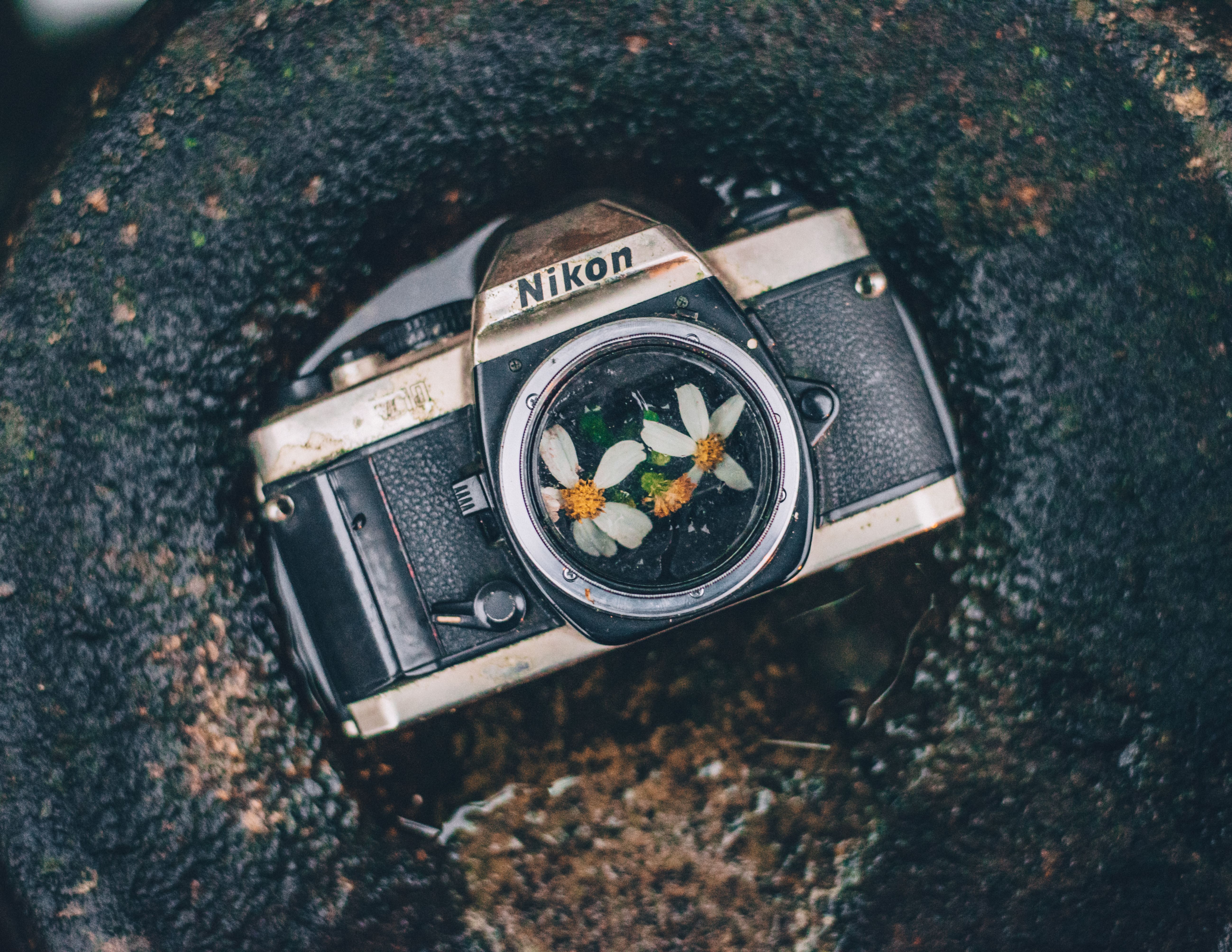 Nikon Camera Body with Small White Flowers · Free Stock Photo
