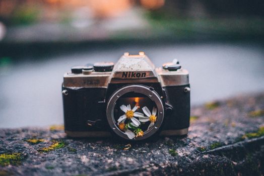 A vintage film camera with daisies inside the lens, set on a textured surface.
