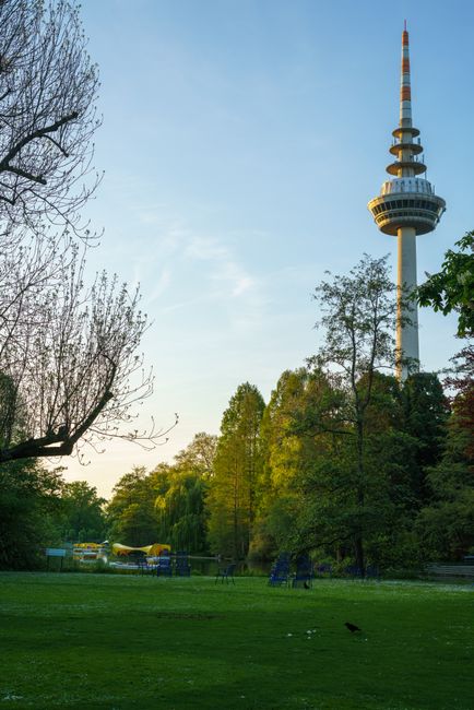 Lebih dari Sekadar Wisata: Pentingnya Ruang Hijau di Kota Lebih dari Sekadar Wisata: Pentingnya Ruang Hijau di Kota
