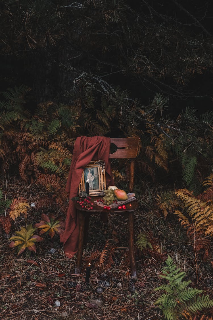 Fruits And A Picture In A Decorative Frame On A Wooden Chair Under A Conifer