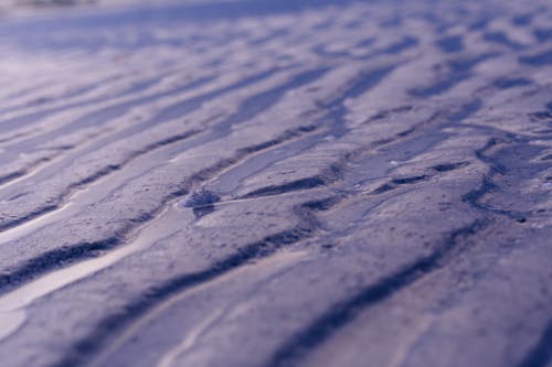 Tilt Up Lens Photography of Soil