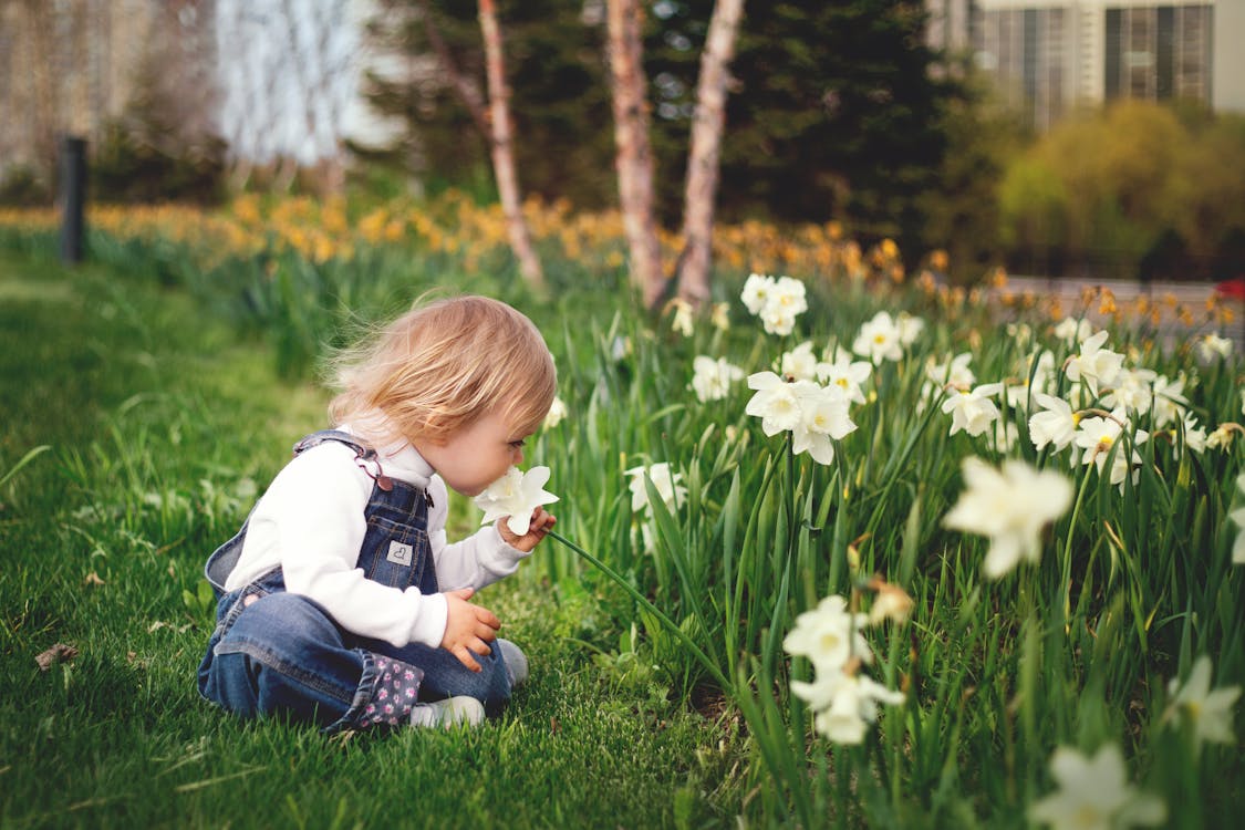 Free Girl Sitting on Grass Smelling White Petaled Flower Stock Photo