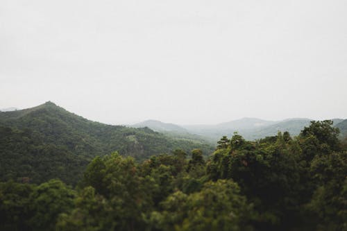 Free Foggy Mountains Stock Photo