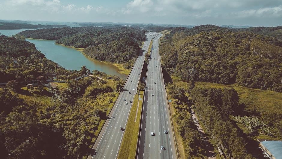 Bird's-eye Photography of Trees Near Road · Free Stock Photo