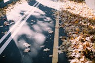 空荡的道路上，落叶与阴影交织，捕捉着秋日的宁静