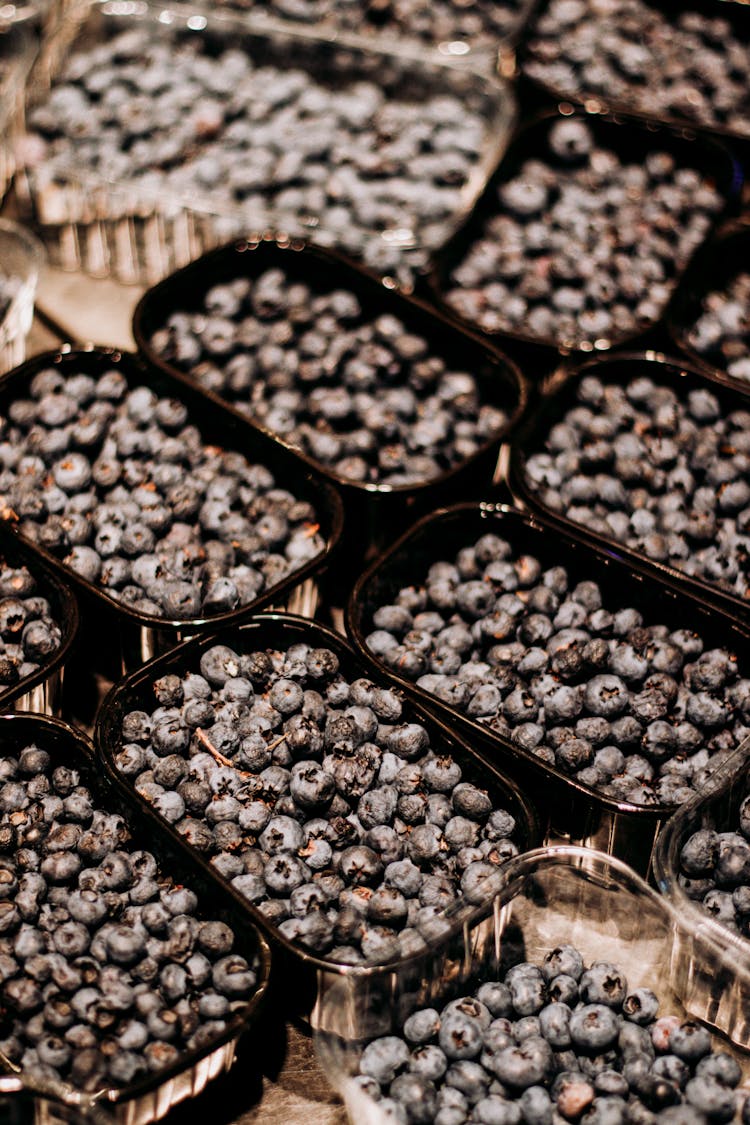 Blueberries In Black Plastic Containers