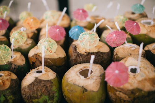 Opened Coconut Fruits