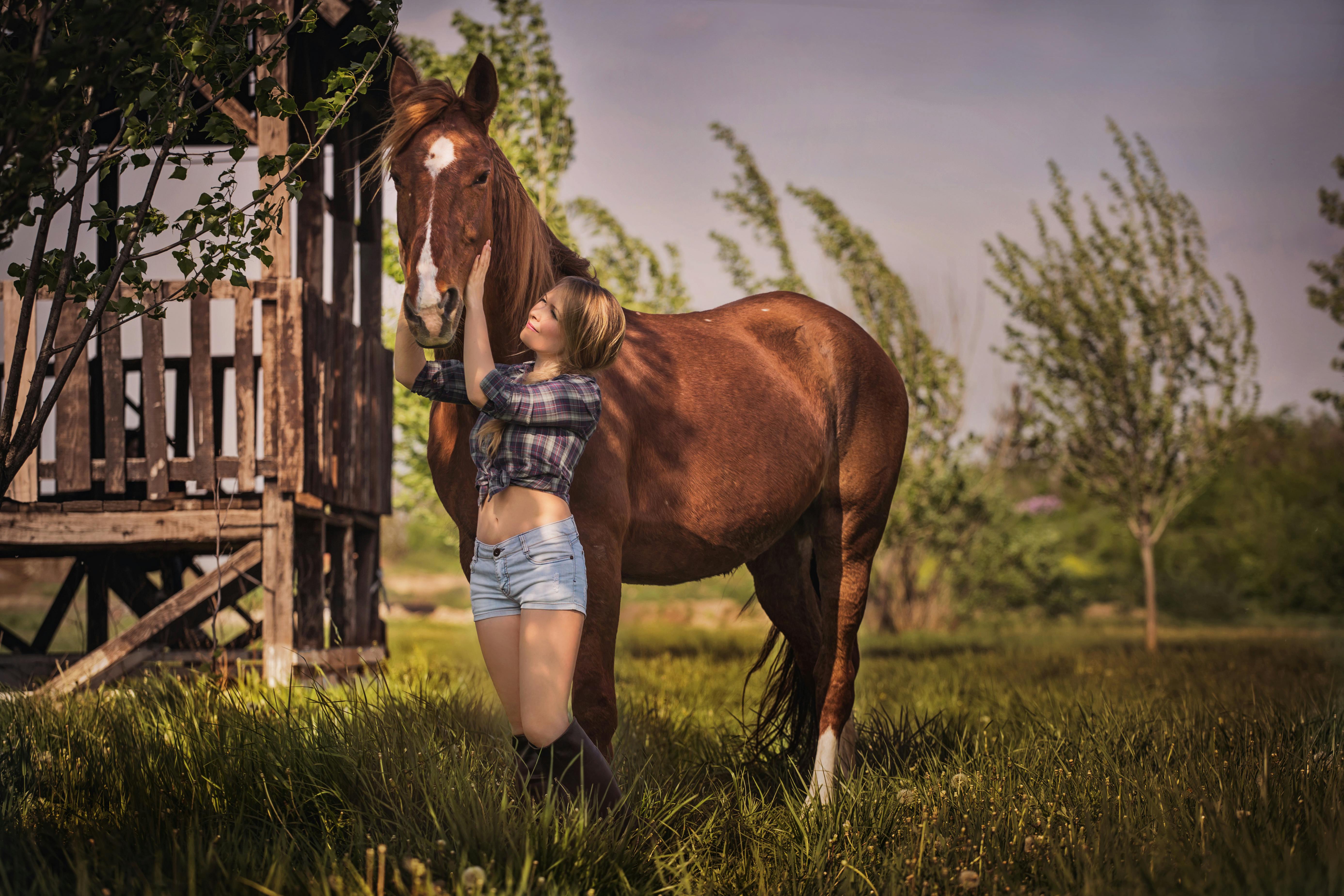 Free stock photo of cowgirl, horse