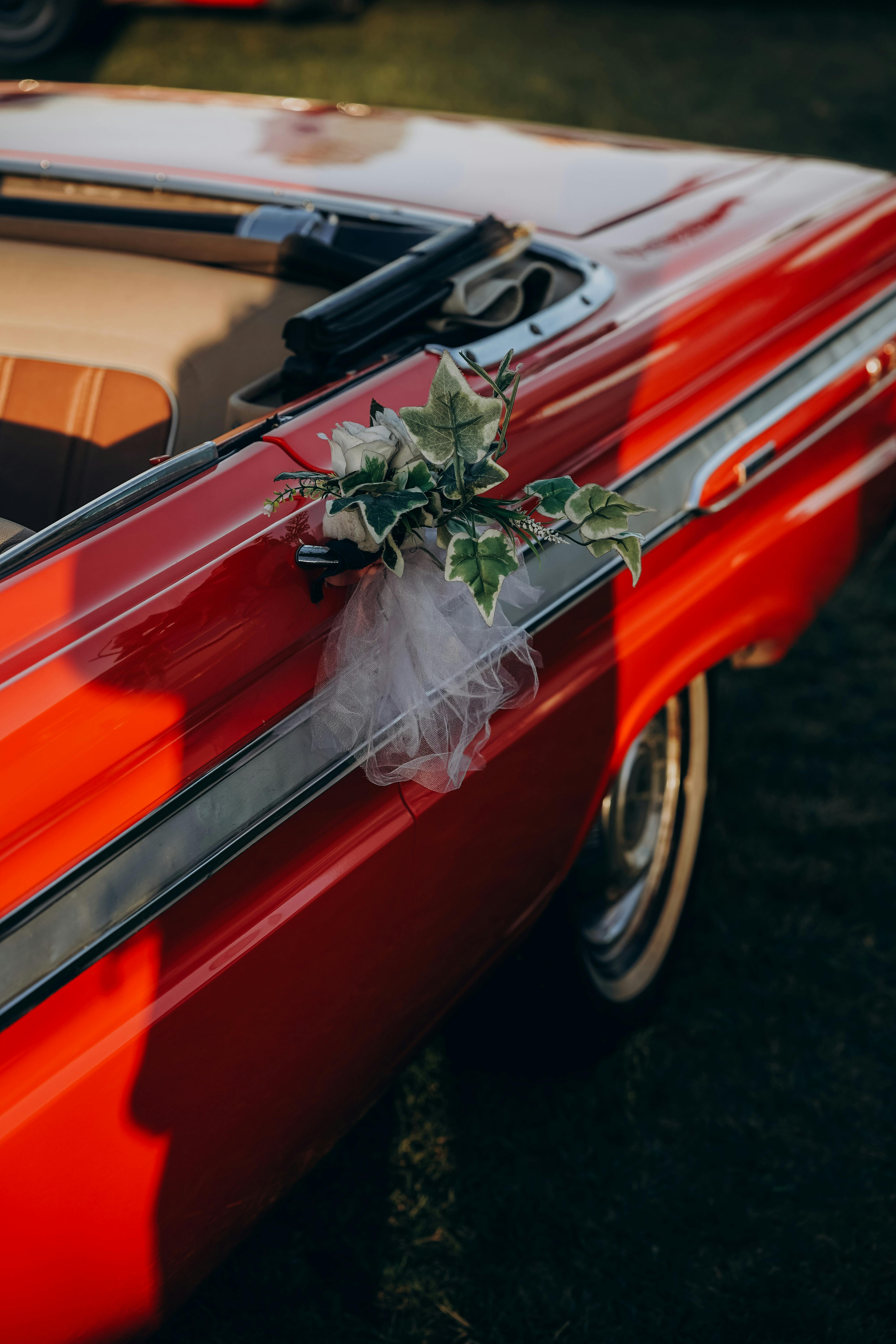 Explore Juneau’s Top Wedding Venues with Luxury Wedding Transportation