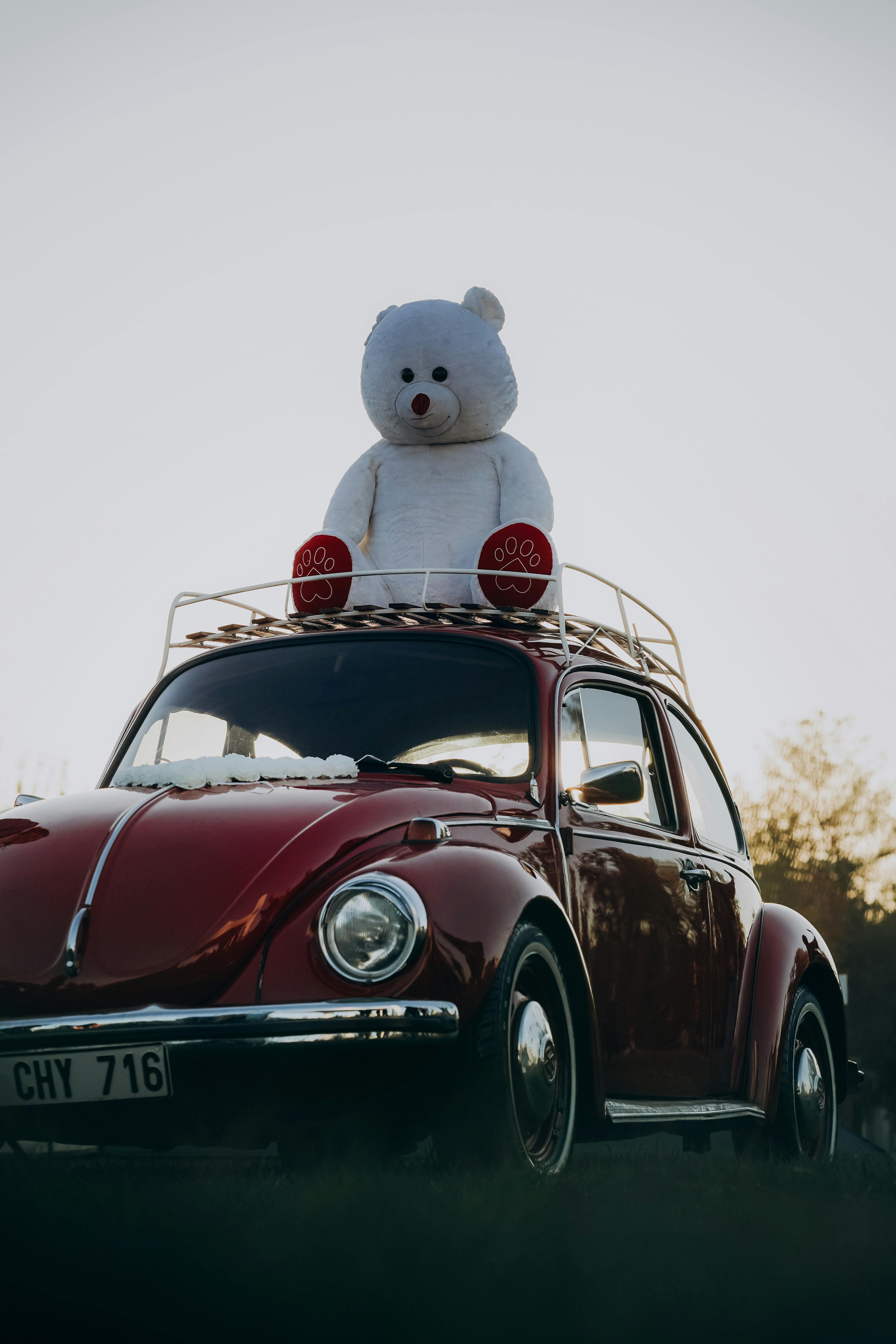 Car hanging teddy bear online