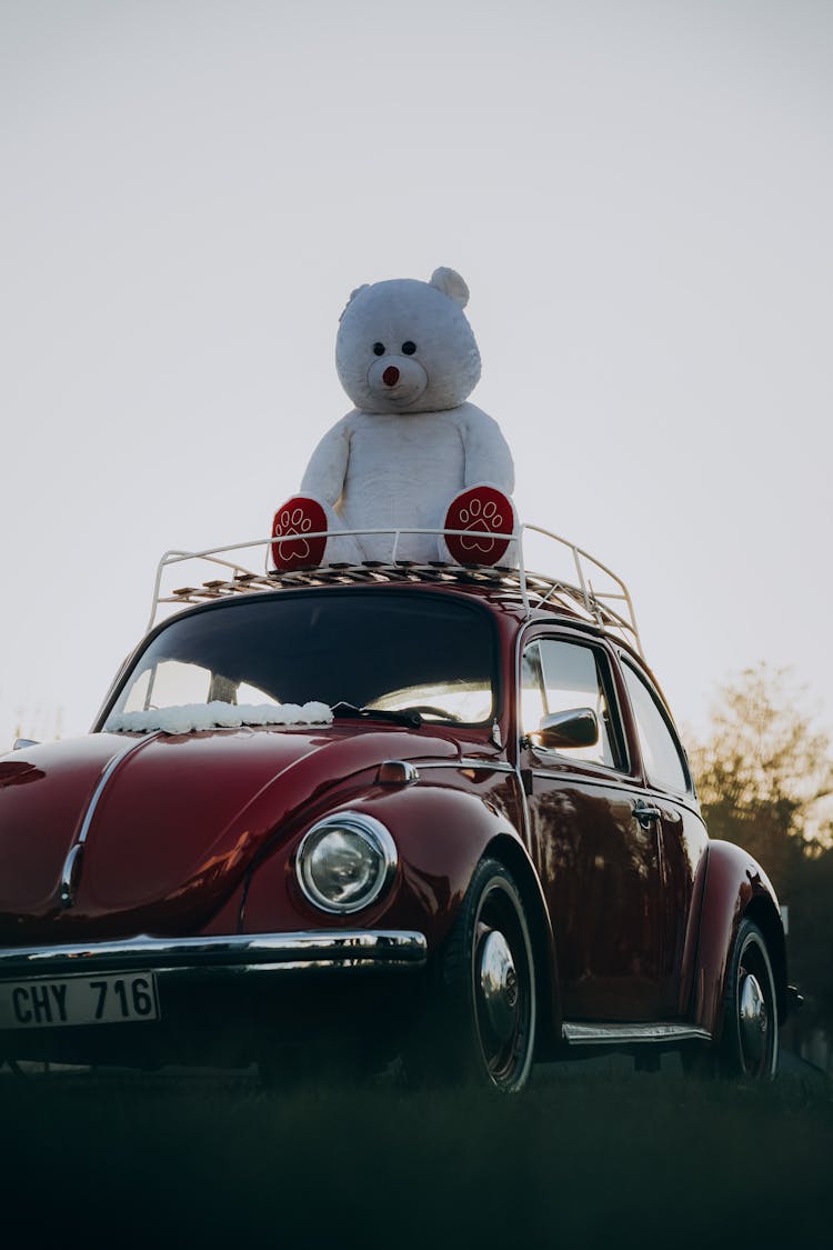 Huge White Teddy Bear Sitting On The Roof Of Red Beetle Car