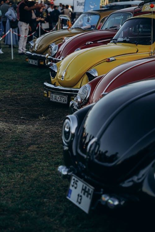 Fotobanka s bezplatnými fotkami na tému auto, motor show, old-timer