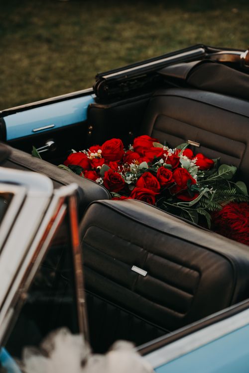 Car Back Roses Red Roses in Classic Convertible · Free Stock Photo