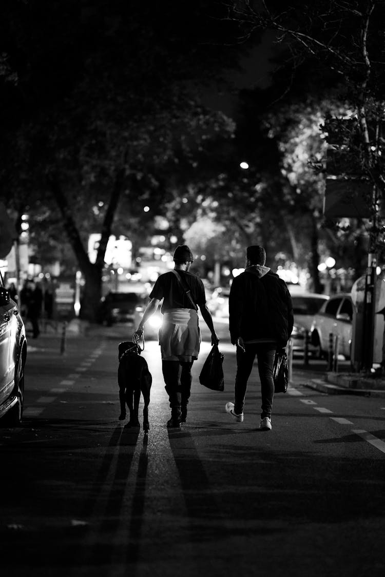 Two Men With A Dog Walking On A Street At Night