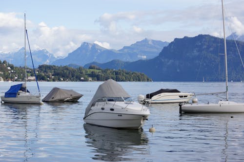 Sailboats Moored near the Shore 