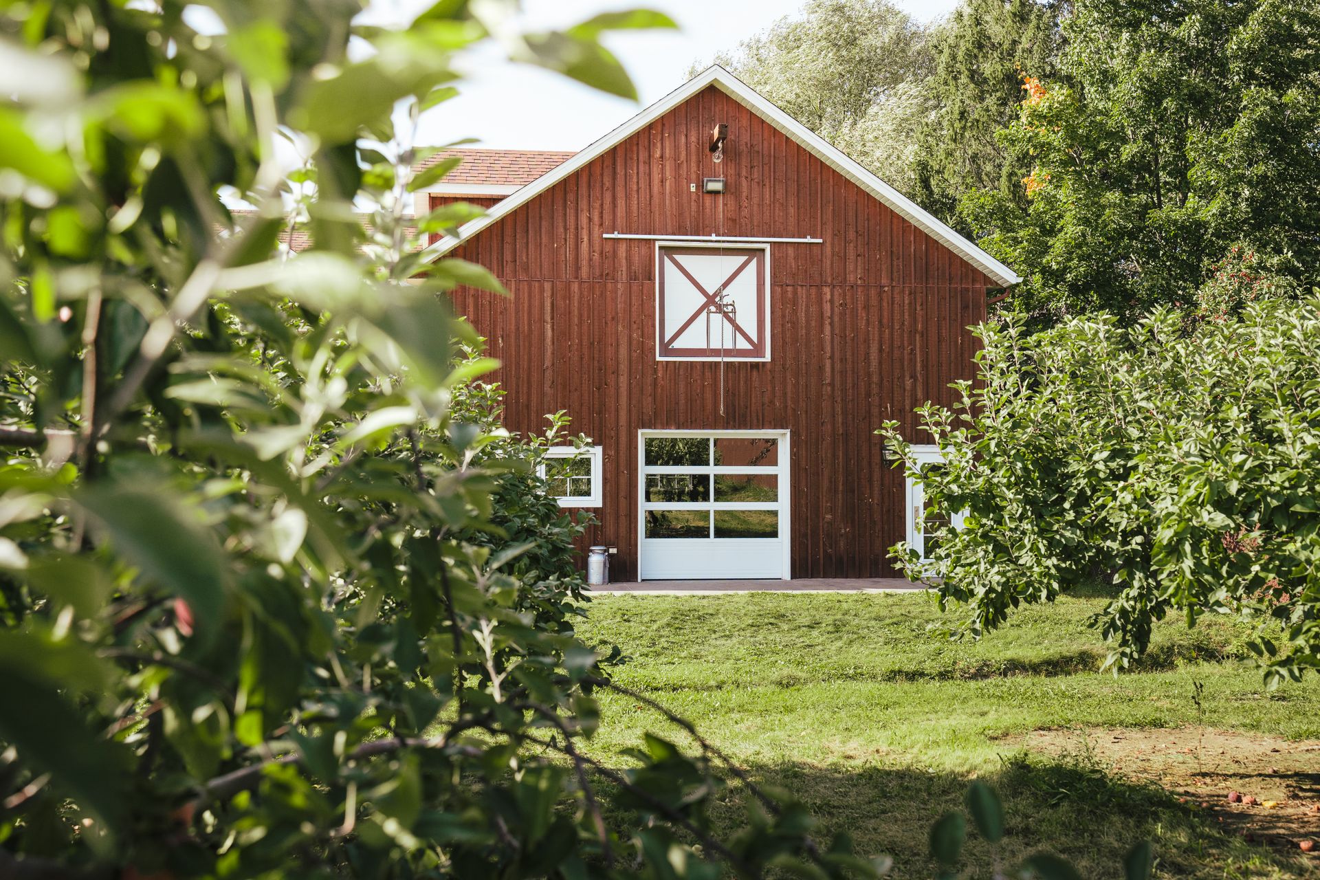 Farmhouse Surrounded by Trees