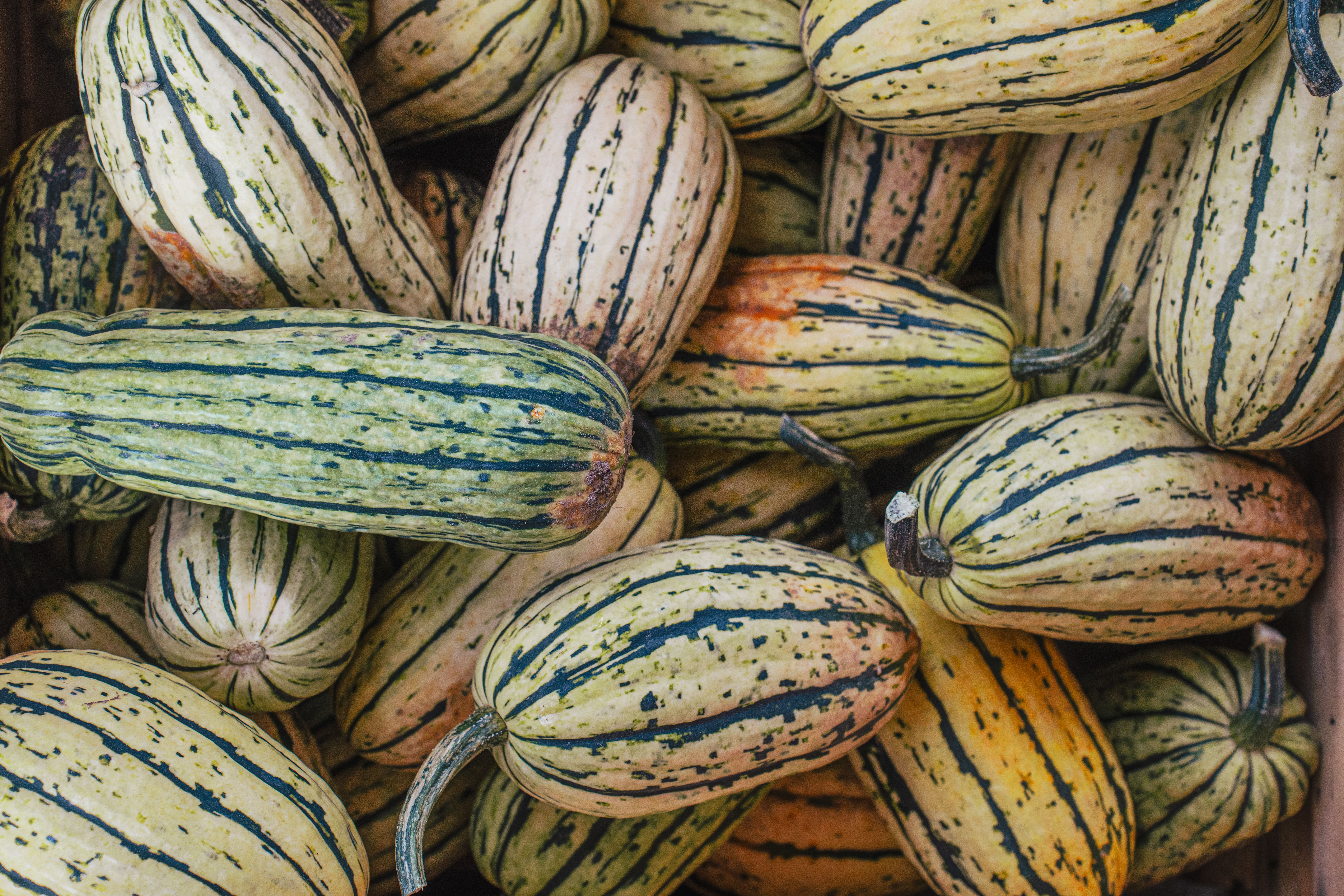 Golden roasted delicata squash with spicy jalapeños and feta