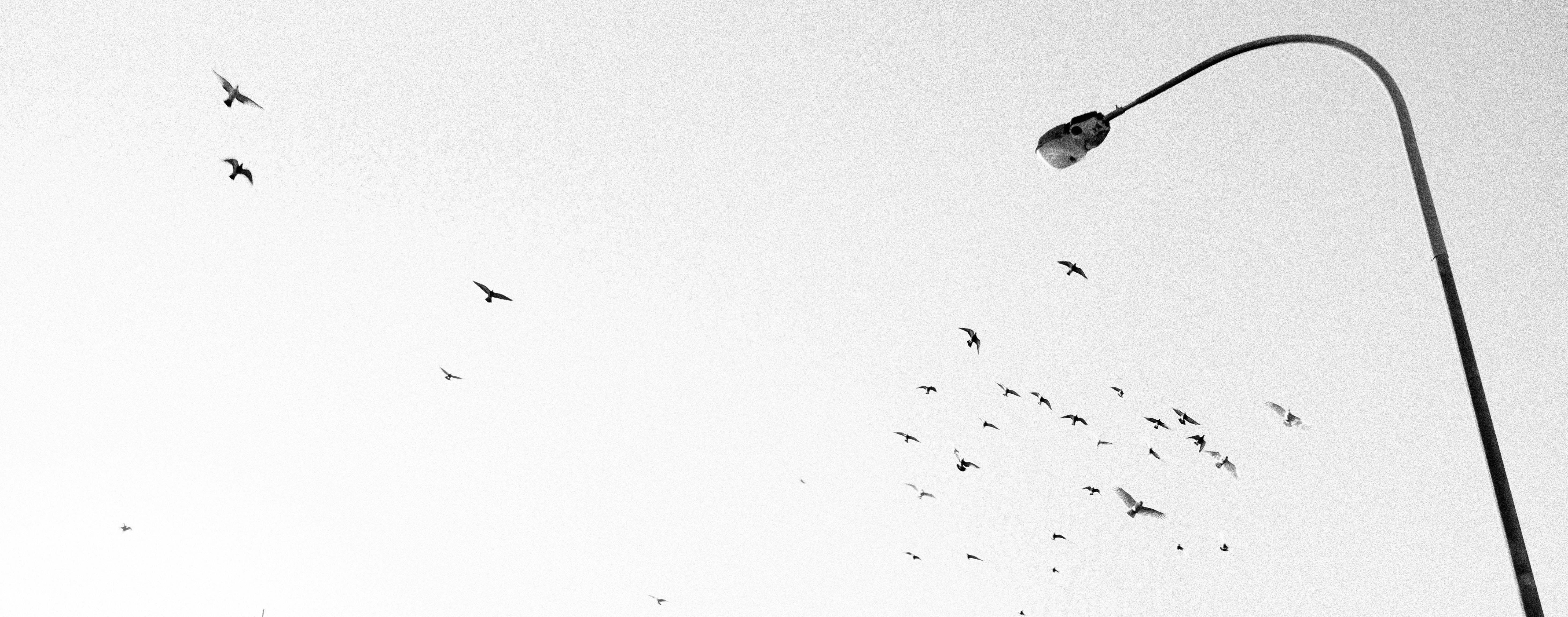 Spencer Lee - Photography