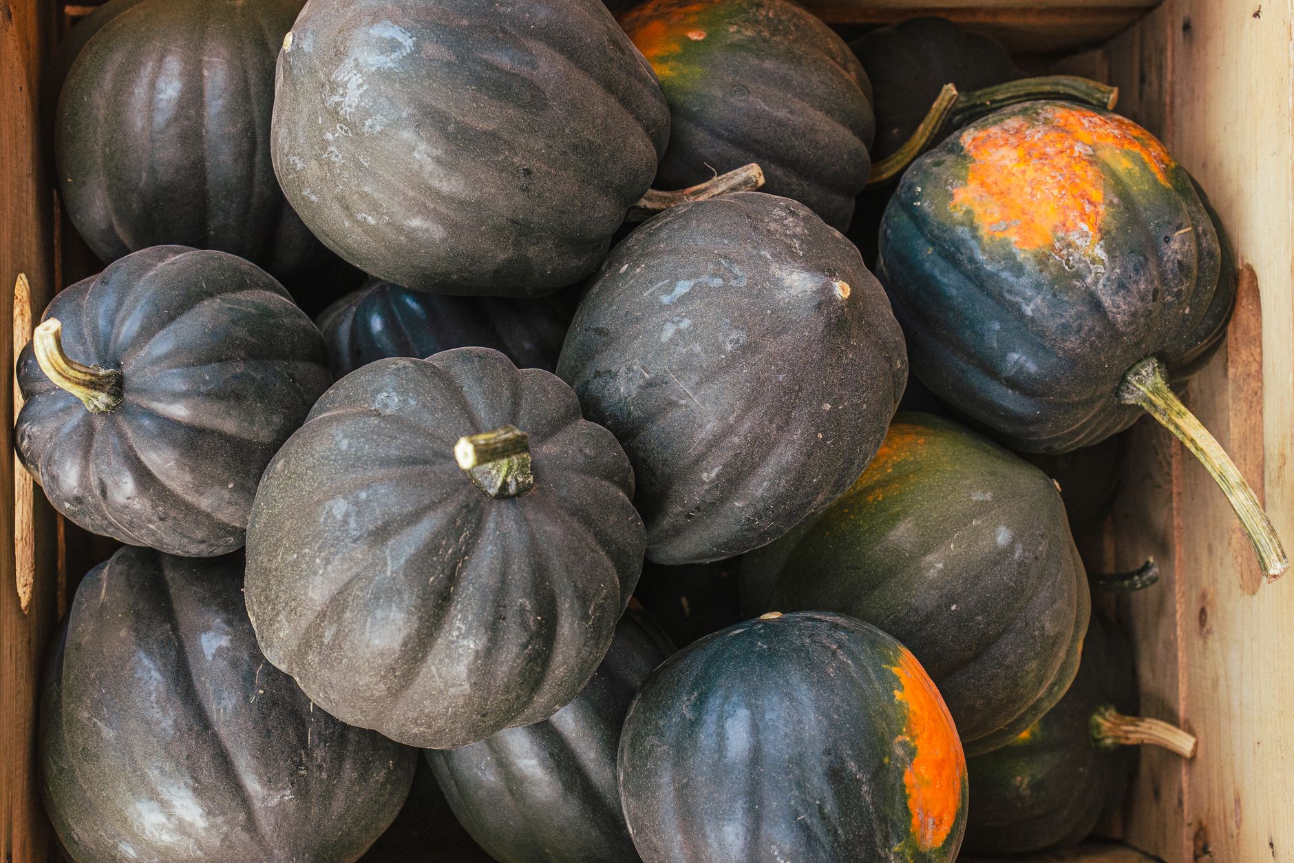 Grilled maple glazed acorn squash slices on a platter