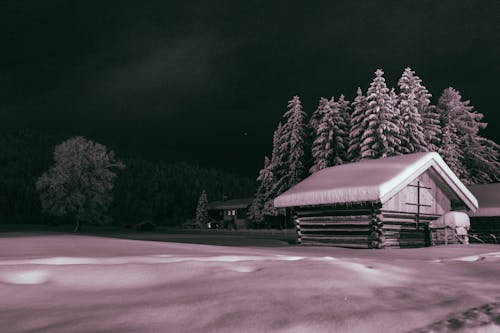Бесплатное стоковое фото с snowfamily, домик, зима