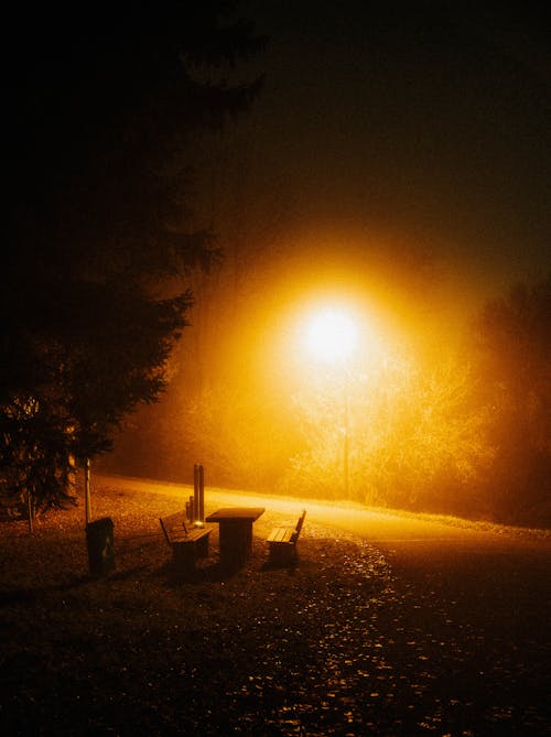 Empty Table and Benches in a Park at Night Illuminated by a Streetlamp 