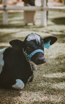 애널리틱스 태그 매니저 제대로 활용하기: 완벽 가이드 애널리틱스 태그 매니저 제대로 활용하기: 완벽 가이드