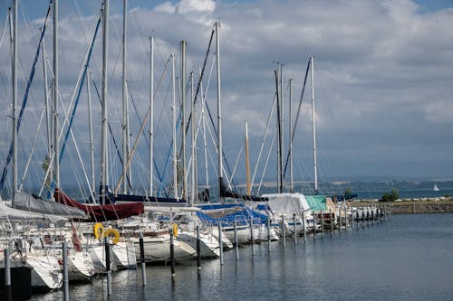 Kostenloses Stock Foto zu jachthafen, meer, vertäut