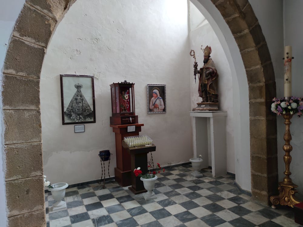 catedral vieja de Cádiz