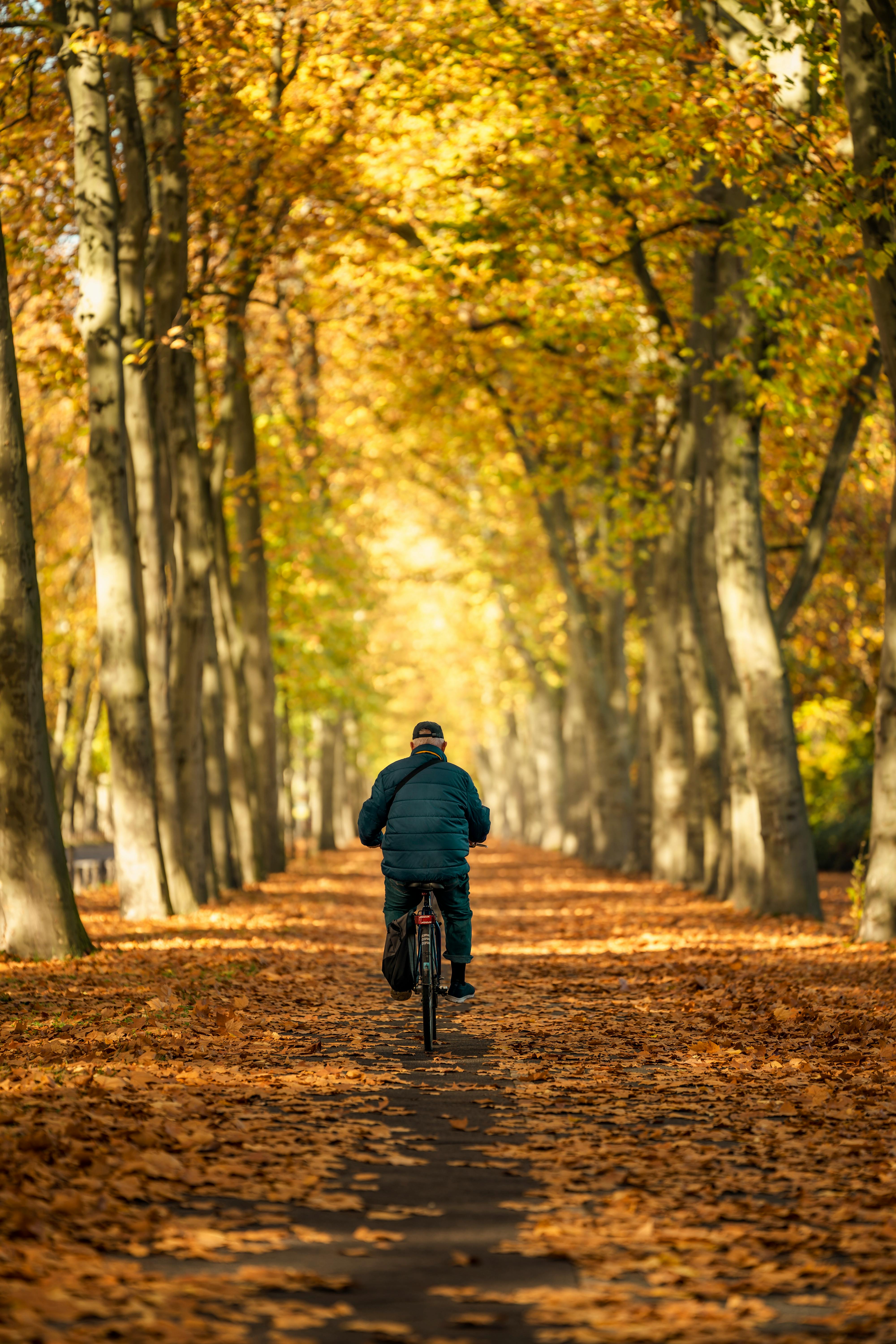 A man cycling through a tree-lined path in Berlin, surrounded by vibrant autumn leaves.