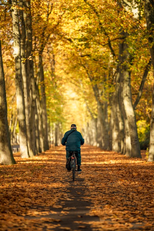 Man on Bike in Alley in Forest in Autumn