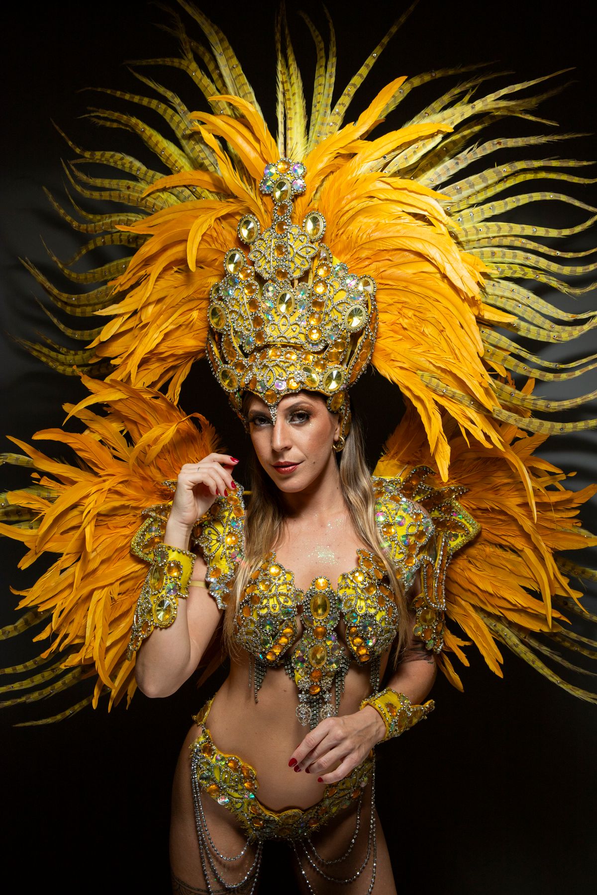 Mujer con un elaborado disfraz de carnaval con plumas y pedrería