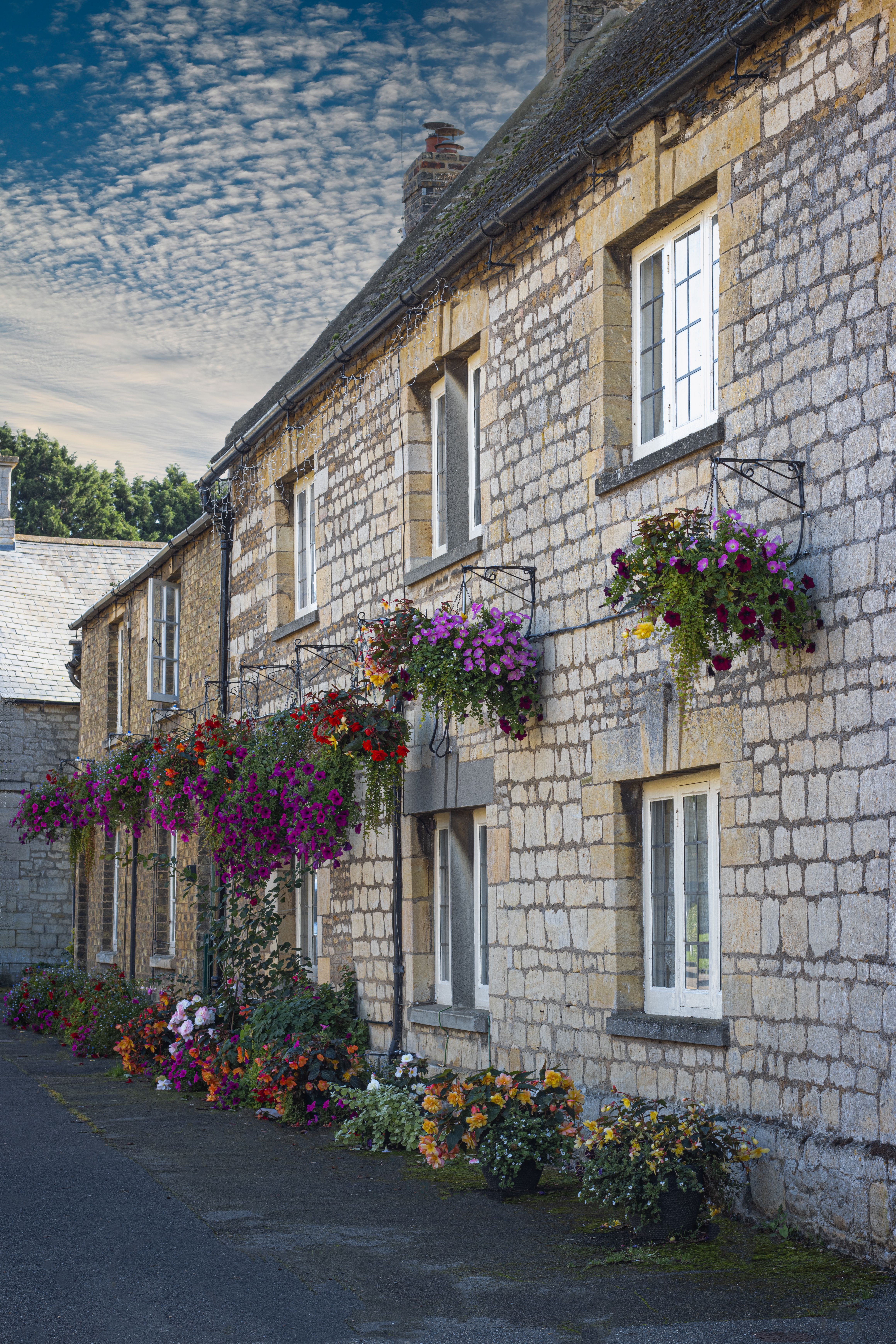 Flowers on Stone Wall of Building in Town · Free Stock Photo