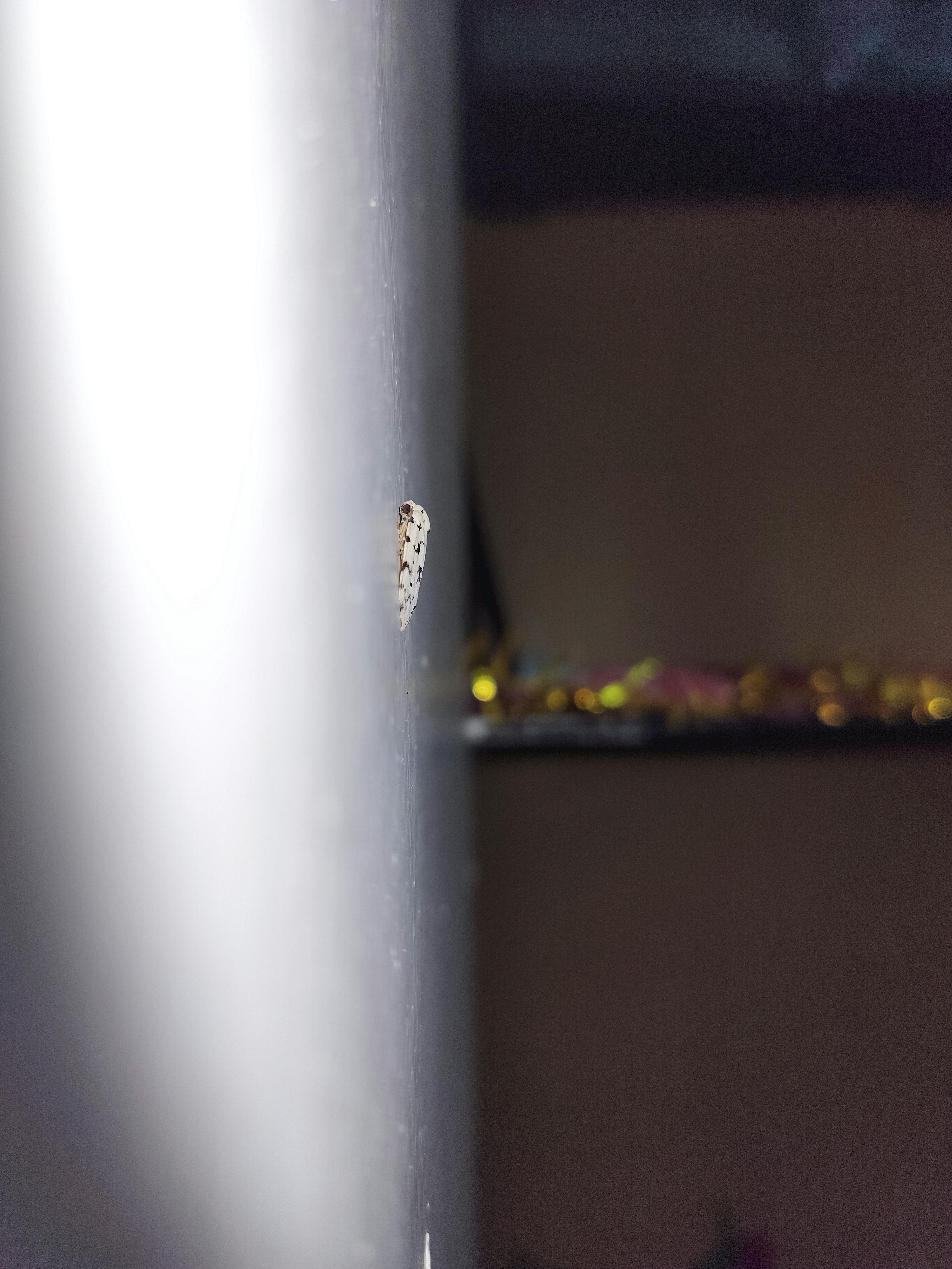 Stylish woman posing with a sustainable straw bag