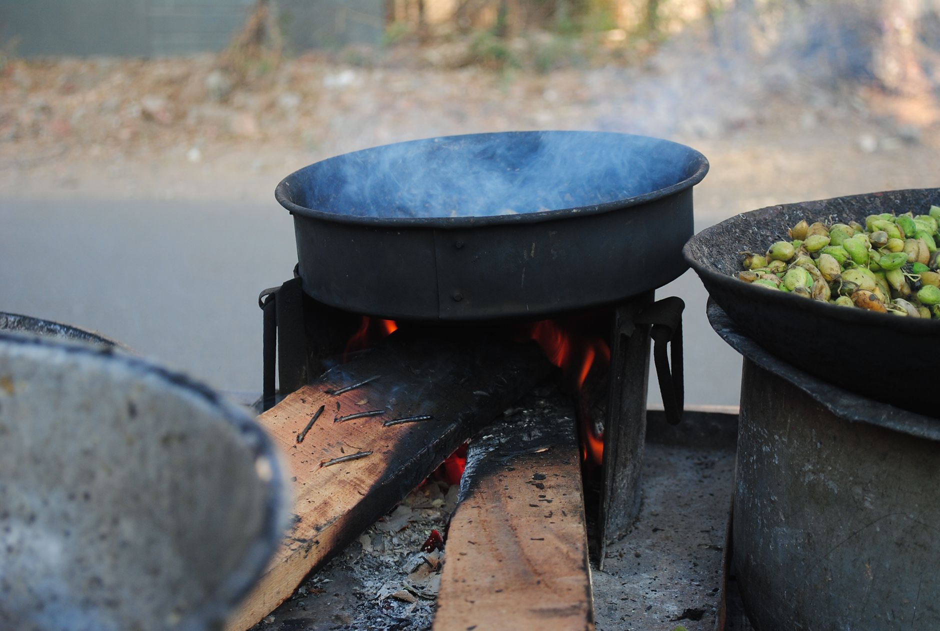 Firms Seek Higher Use Of Bio Fuel For Transport Cooking