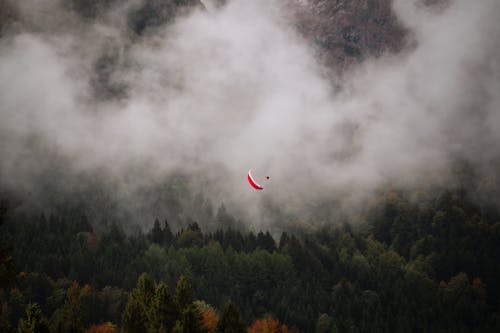 Aerial View of a Parachute over an Autumnal Forest